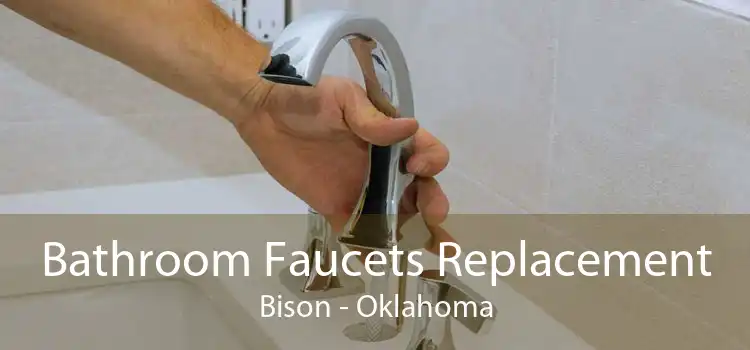 Bathroom Faucets Replacement Bison - Oklahoma