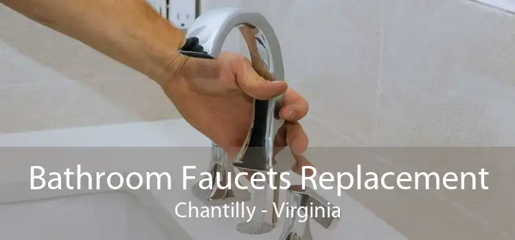 Bathroom Faucets Replacement Chantilly - Virginia