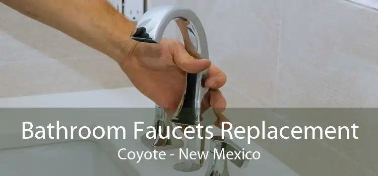 Bathroom Faucets Replacement Coyote - New Mexico