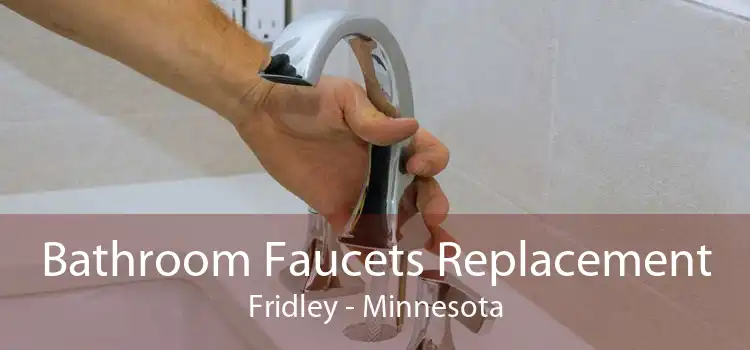 Bathroom Faucets Replacement Fridley - Minnesota