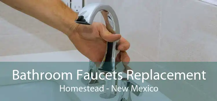 Bathroom Faucets Replacement Homestead - New Mexico