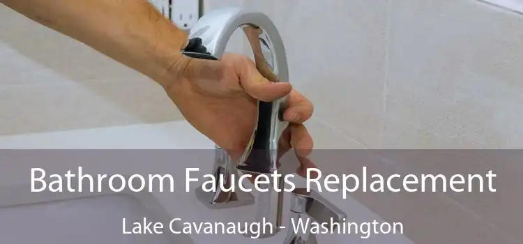 Bathroom Faucets Replacement Lake Cavanaugh - Washington
