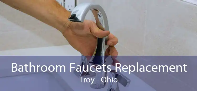 Bathroom Faucets Replacement Troy - Ohio