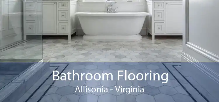 Bathroom Flooring Allisonia - Virginia