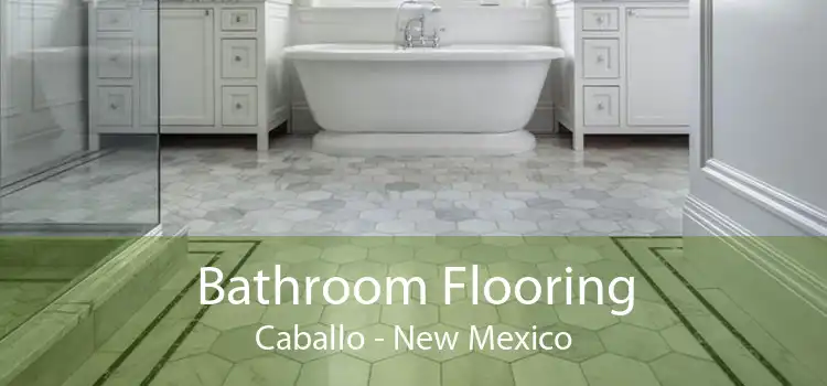 Bathroom Flooring Caballo - New Mexico