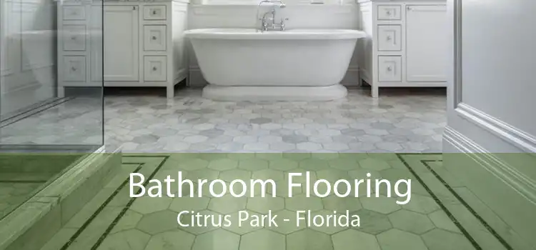 Bathroom Flooring Citrus Park - Florida