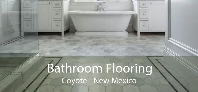 Bathroom Flooring Coyote - New Mexico