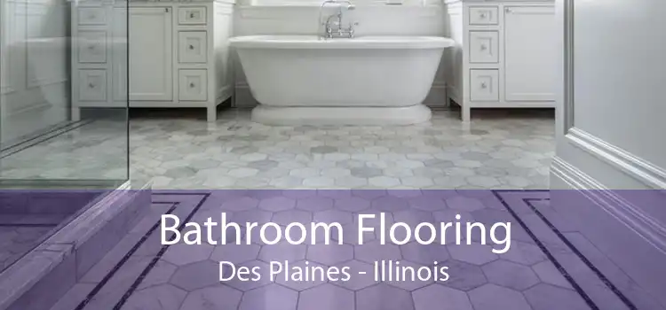 Bathroom Flooring Des Plaines - Illinois