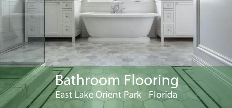 Bathroom Flooring East Lake Orient Park - Florida