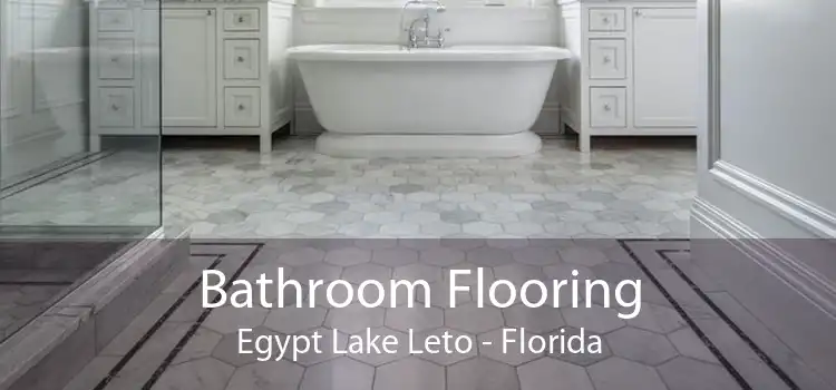 Bathroom Flooring Egypt Lake Leto - Florida