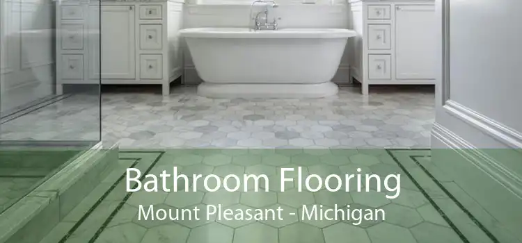 Bathroom Flooring Mount Pleasant - Michigan