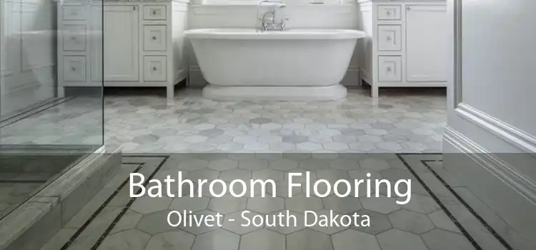 Bathroom Flooring Olivet - South Dakota