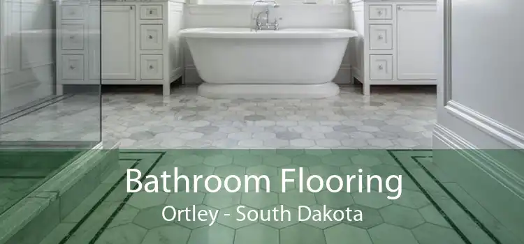 Bathroom Flooring Ortley - South Dakota