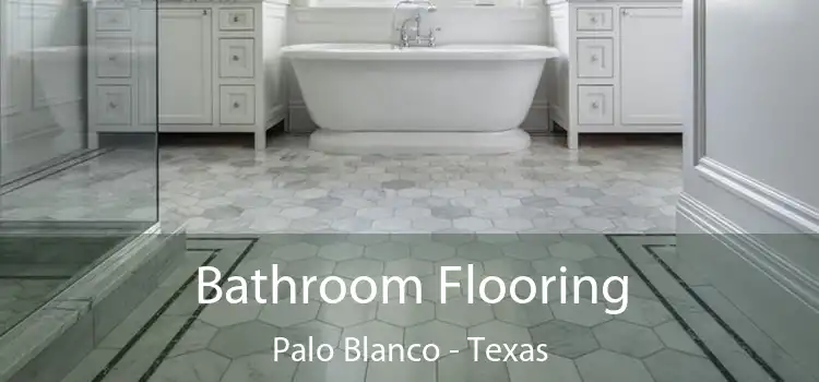 Bathroom Flooring Palo Blanco - Texas