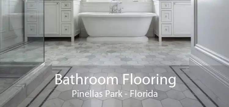 Bathroom Flooring Pinellas Park - Florida