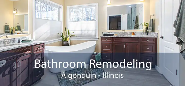 Bathroom Remodeling Algonquin - Illinois