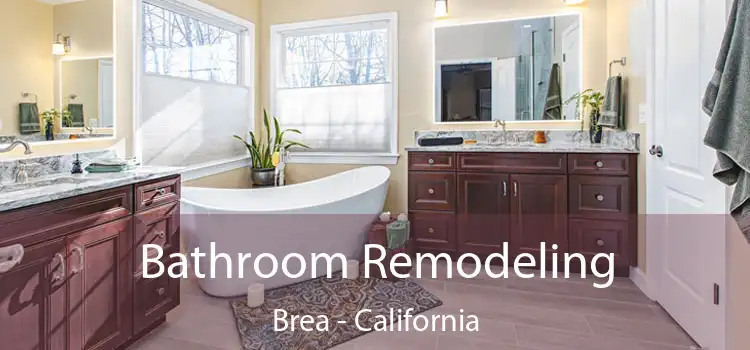 Bathroom Remodeling Brea - California