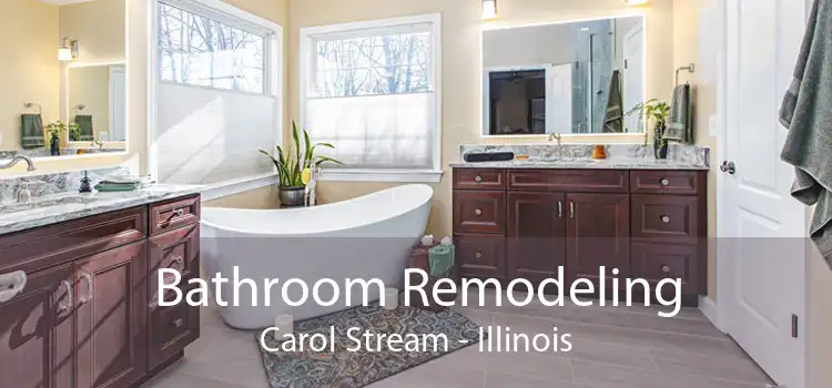 Bathroom Remodeling Carol Stream - Illinois