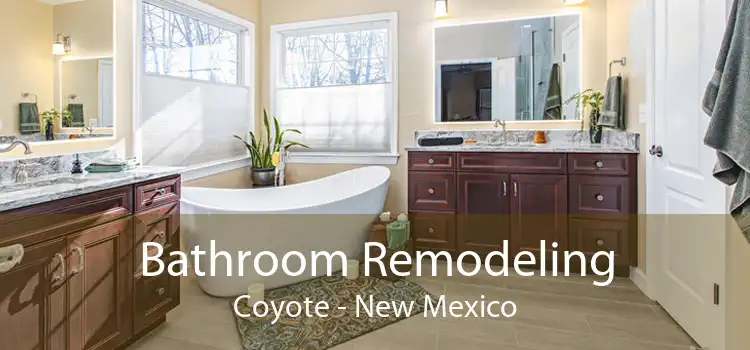 Bathroom Remodeling Coyote - New Mexico