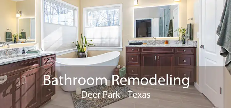 Bathroom Remodeling Deer Park - Texas