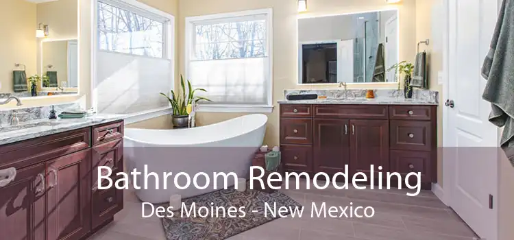 Bathroom Remodeling Des Moines - New Mexico