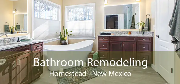 Bathroom Remodeling Homestead - New Mexico