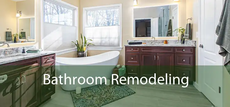 Bathroom Remodeling