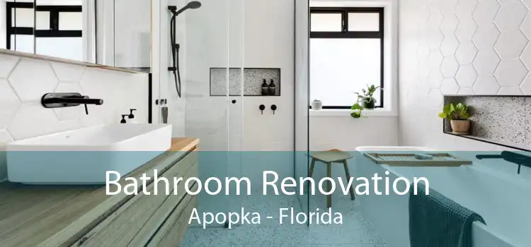 Bathroom Renovation Apopka - Florida