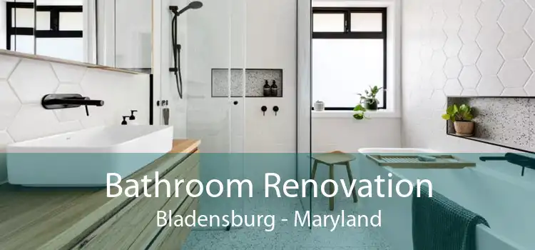 Bathroom Renovation Bladensburg - Maryland