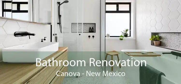 Bathroom Renovation Canova - New Mexico