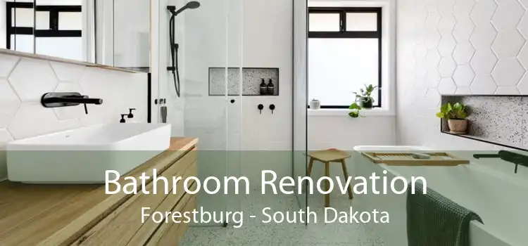 Bathroom Renovation Forestburg - South Dakota