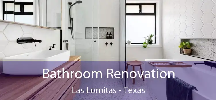 Bathroom Renovation Las Lomitas - Texas