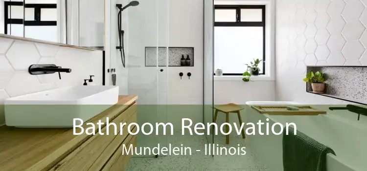 Bathroom Renovation Mundelein - Illinois