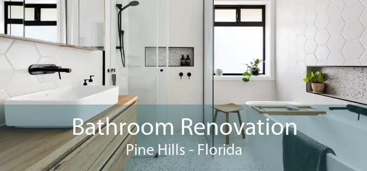 Bathroom Renovation Pine Hills - Florida