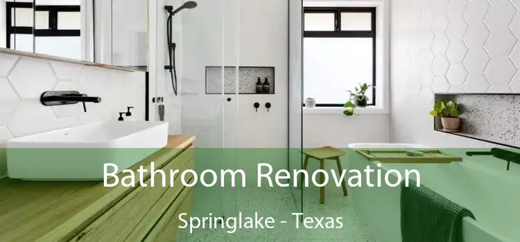 Bathroom Renovation Springlake - Texas