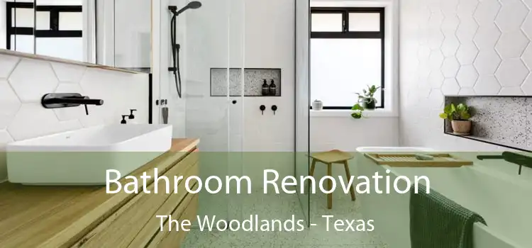 Bathroom Renovation The Woodlands - Texas