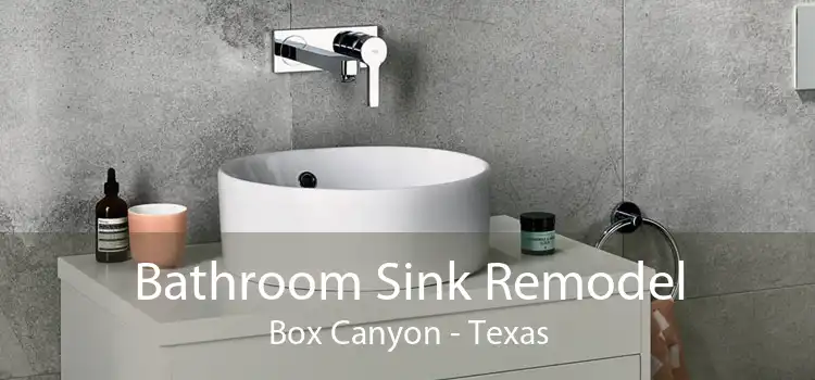 Bathroom Sink Remodel Box Canyon - Texas