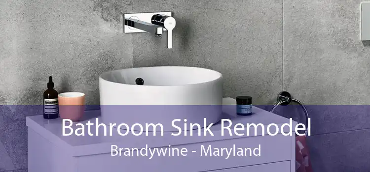 Bathroom Sink Remodel Brandywine - Maryland