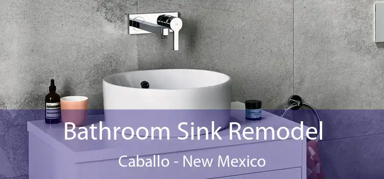 Bathroom Sink Remodel Caballo - New Mexico