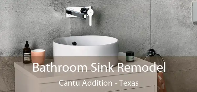 Bathroom Sink Remodel Cantu Addition - Texas