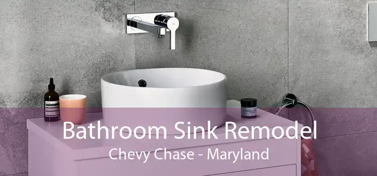 Bathroom Sink Remodel Chevy Chase - Maryland