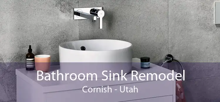 Bathroom Sink Remodel Cornish - Utah