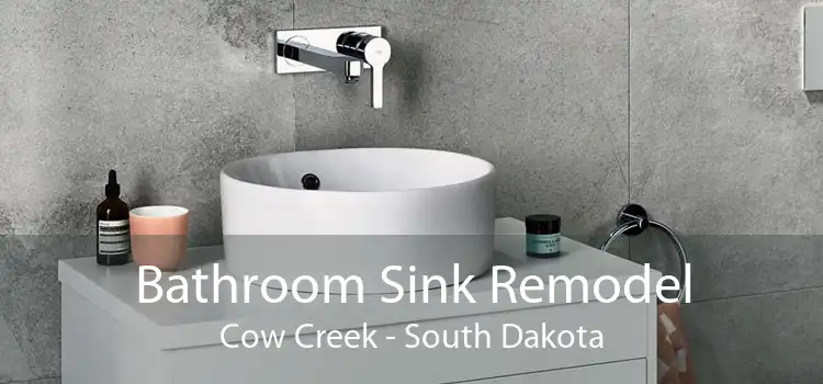 Bathroom Sink Remodel Cow Creek - South Dakota