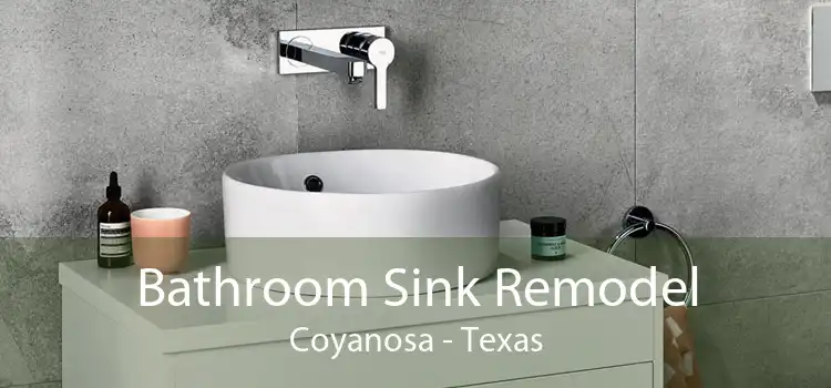 Bathroom Sink Remodel Coyanosa - Texas