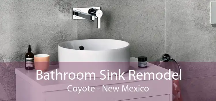 Bathroom Sink Remodel Coyote - New Mexico