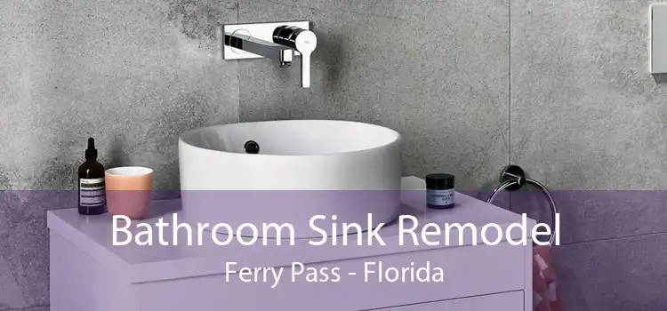 Bathroom Sink Remodel Ferry Pass - Florida