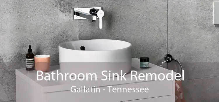 Bathroom Sink Remodel Gallatin - Tennessee