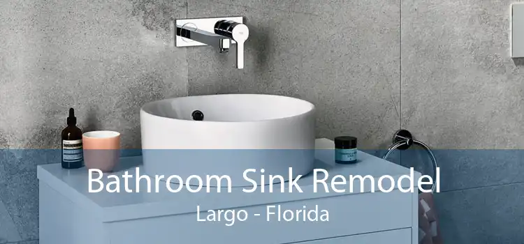 Bathroom Sink Remodel Largo - Florida