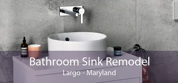 Bathroom Sink Remodel Largo - Maryland