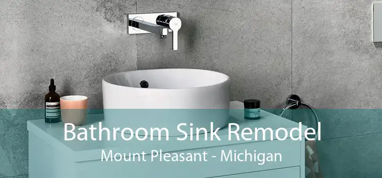 Bathroom Sink Remodel Mount Pleasant - Michigan